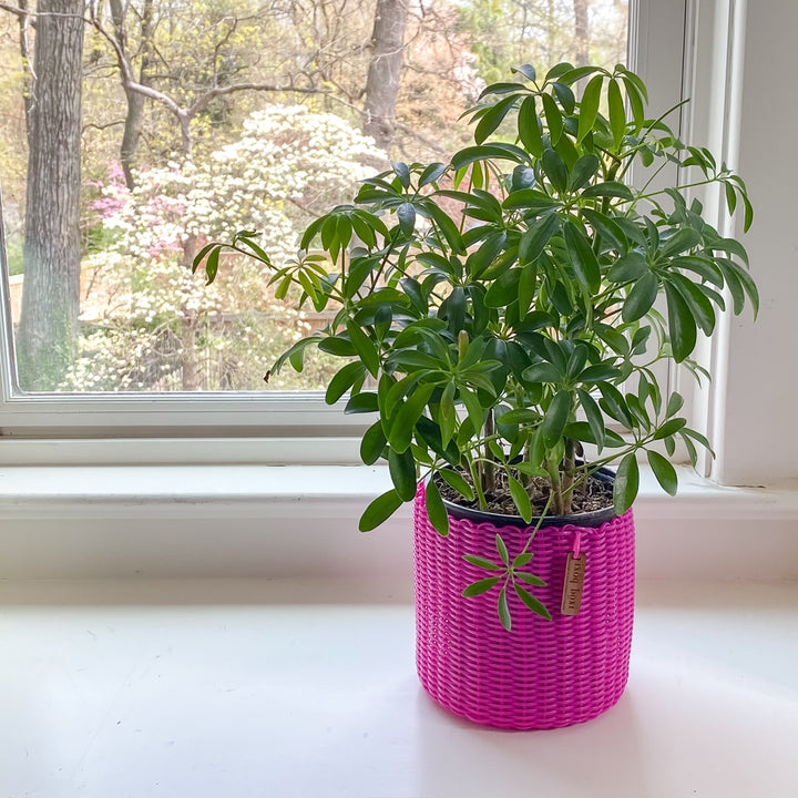 round 'catch all' / plant pots ~ single color