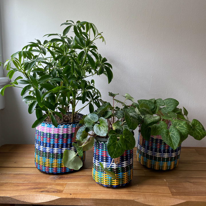 (wholesale) round 'catch all' / planters ~ multicolor stripes
