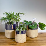 round 'catch all' / planters ~ color bands