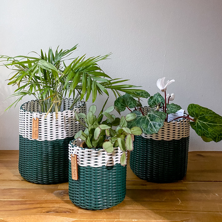 (wholesale) round 'catch all' / planters ~ color bands