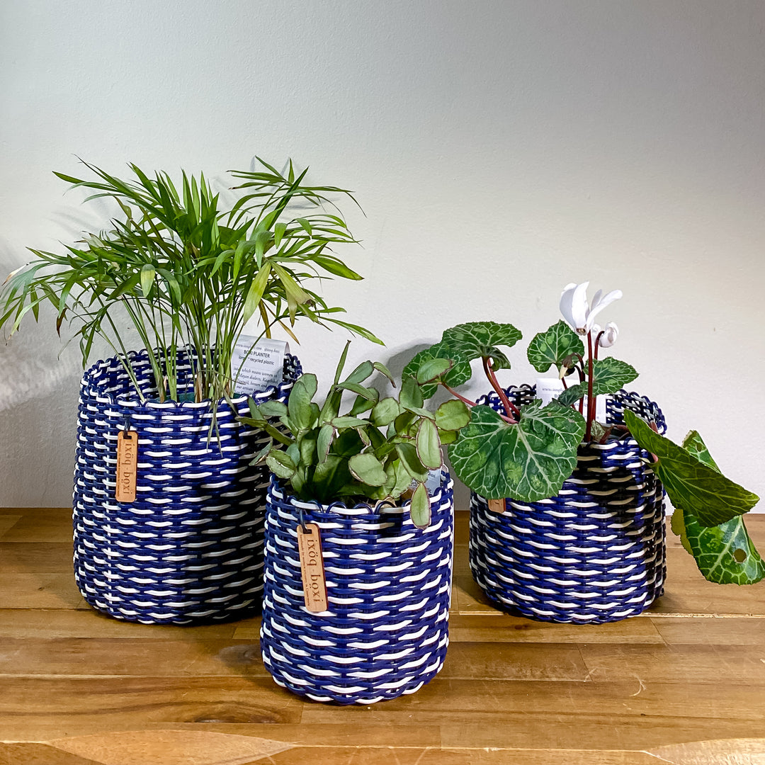 (wholesale) round 'catch all' / planters ~ interweave
