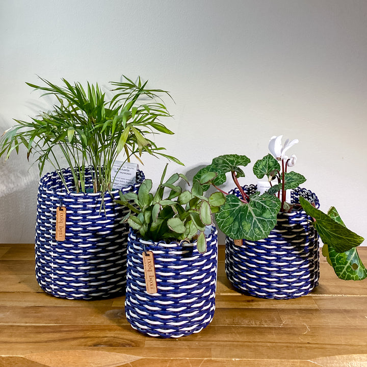 (wholesale) round 'catch all' / planters ~ interweave