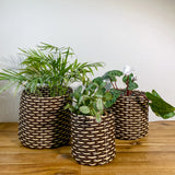 round 'catch all' / planters ~ interweave