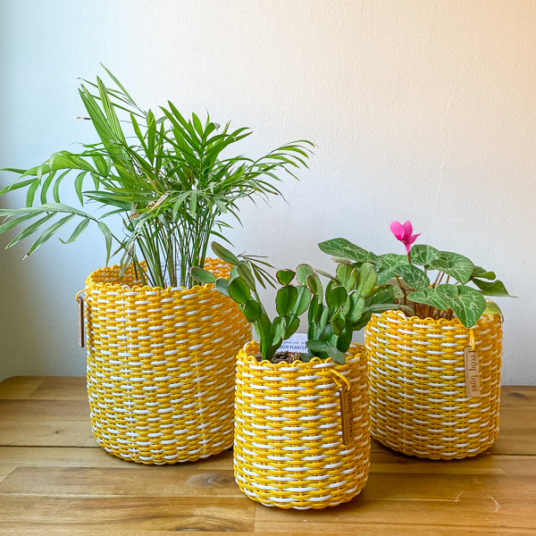 round 'catch all' / plant pots - custom