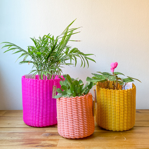 round 'catch all' / plant pots - custom