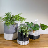 round 'catch all' / planters ~ color bands