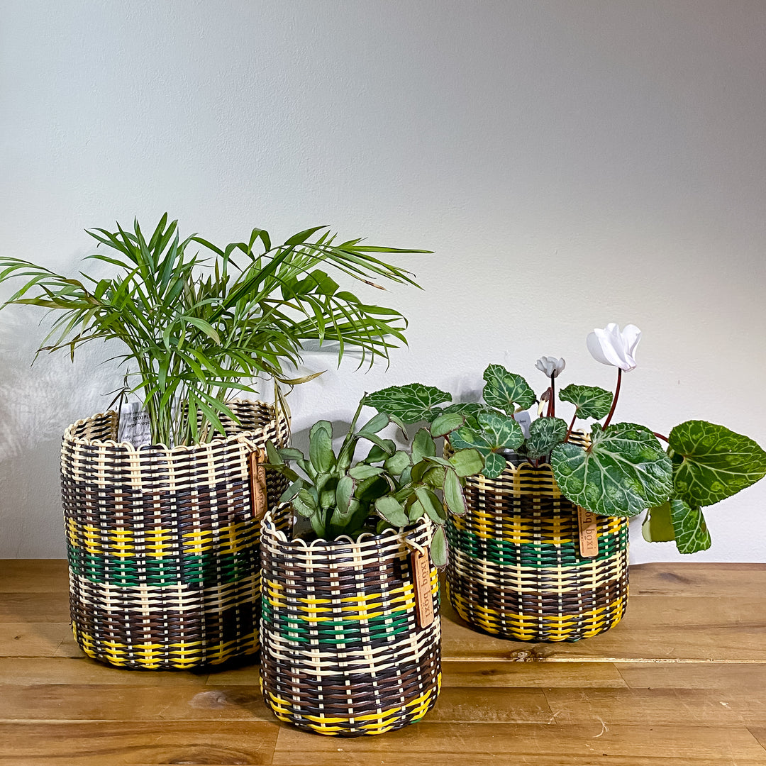 (wholesale) round 'catch all' / planters ~ multicolor stripes