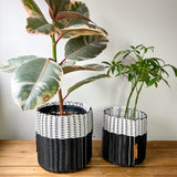 boxi planters ~ (SMIDC)