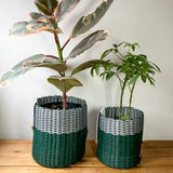 boxi planters ~ (SMIDC)