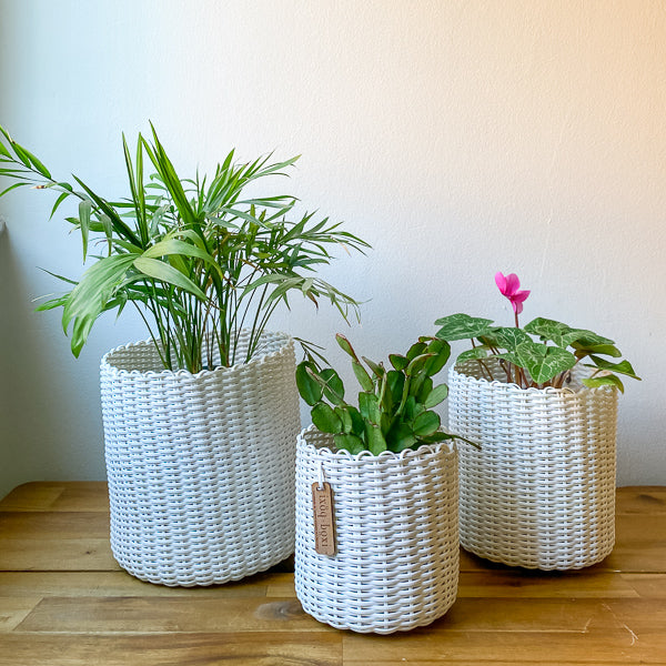 round 'catch all' / plant pots ~ single color