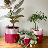boxi planters ~ (SMIDC)