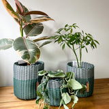 boxi planters ~ (SMIDC)