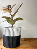 boxi planters ~ (SMIDC)