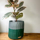 boxi planters ~ (SMIDC)