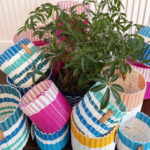 round 'catch all' / plant pots - custom